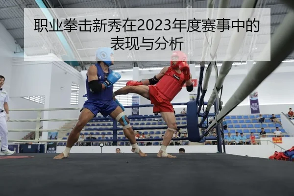 职业拳击新秀在2023年度赛事中的表现与分析
