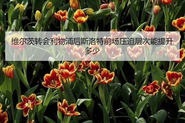 维尔茨转会利物浦后斯洛特前场压迫层次能提升多少