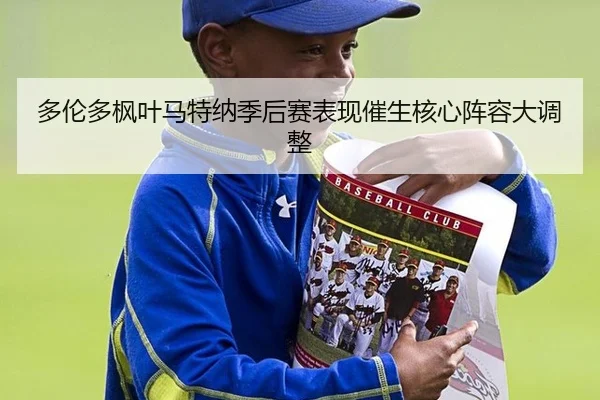 多伦多枫叶马特纳季后赛表现催生核心阵容大调整