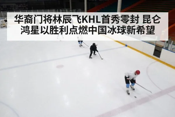 ice hockey game
